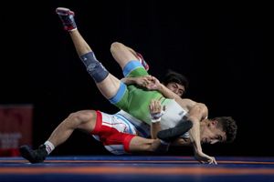 Pakistani, Chinese wrestlers visa problems will be sorted out: WFI chief
