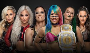 WWE announces 2020 Women’s Elimination Chamber match