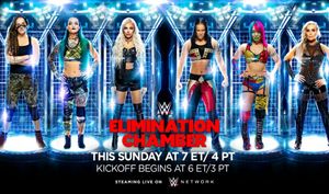 WWE Elimination Chamber 2020: Match card, predictions, when and where to watch