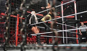 WWE Elimination Chamber 2020: Results and Recap