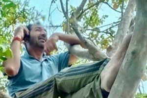 Lockdown days: ICC umpire Anil Chaudhary climbs tree to get mobile signal in his village