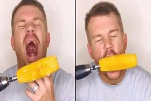 Stunt gone wrong: David Warner hurts his tooth while attempting a life hack, posts hilarious video on Instagram
