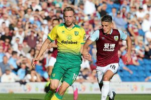 Coronavirus: Stiepermann back for Norwich City after COVID-19 positive test