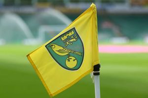 Coronavirus: Norwich City player among two more positive tests in Premier League