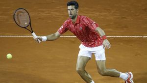 Djokovic suffers first loss of 2020 as Adria Tour gets underway