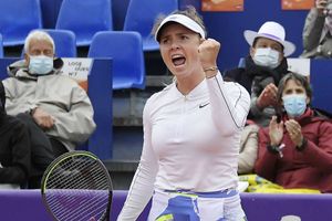 Svitolina scoops Strasbourg title to land Roland Garros boost