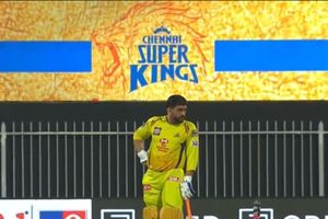 IPL 2020: MS Dhoni hits the ball out of Sharjah Stadium, passerby picks up the ball and walks away - Watch