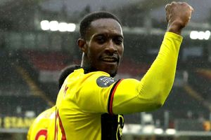 Welbeck joins Brighton on one-year deal