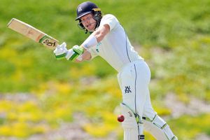 Pucovski, Green push for Australia Test places – but will youth have to wait?