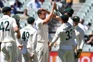 India vs Australia | Justin Langer delighted with Aussie pace attack