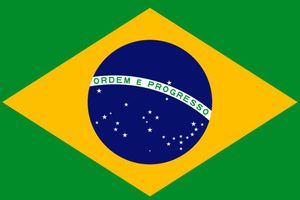 Four players and club president dead in Brazilian football plane crash tragedy