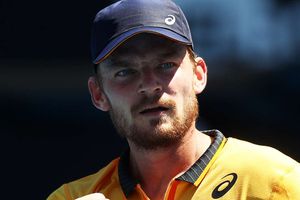 Goffin ends ATP Tour title drought in France