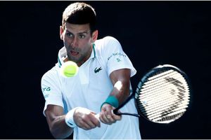 Australian Open: Djokovic survives Tiafoe test