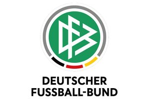 German football president quits after comparing VP to Nazi