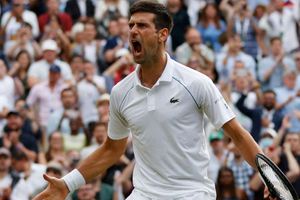 Wimbledon: Djokovic believes Berrettini will rise to occasion of first grand slam final