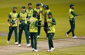 Aaqib Javed sees more wrestlers than cricketers in Pakistan T20I team