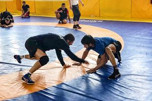 Tokyo 2020: Wrestling: Bajrang, Vinesh carry medal hopes; Ravi Dahiya too a strong contender