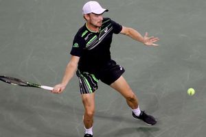 Goffin's Cincinnati comeback ended by Pella