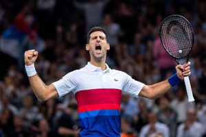 Djokovic avenges US Open defeat against Medvedev to clinch Paris Masters title