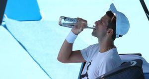 Australian Open 2022: Novak Djokovic clarifies, says agent mistakenly ticked wrong box on travel declaration
