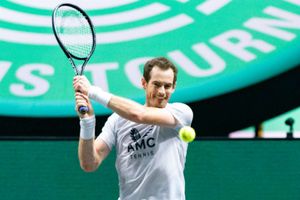 Murray to meet Auger-Aliassime in Rotterdam, Hurkacz stunned by Musetti