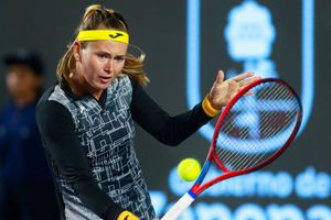 Bouzkova and Kalinskaya through to quarter-finals in Guadalajara