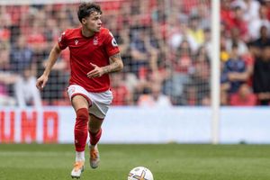 Premier League Fantasy Picks: Neco Williams and Richarlison the smart selections
