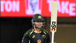 Australia vs West Indies, 2nd T20I: Warner and Starc star as hosts whitewash Windies