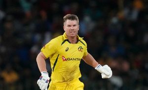 Playing in IPL and Test cricket will be challenging, Warner warns Cameron Green