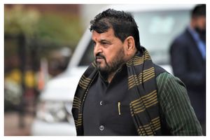 Wrestlers' protester 'may not be taken seriously', says WFI