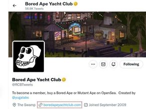 Royal Challengers Bangalore Twitter account hacked, name changed to 'Bored Ape Yacht Club'