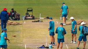 Border-Gavaskar Trophy: ICC Match Referee gives 'average' rating to Nagpur and Delhi pitches
