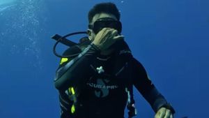 Rahul Dravid Scuba Diving pictures in Maldives go viral: 'The Wall Gets Submerged'