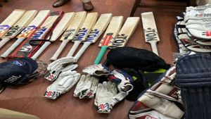 DC captain David Warner confirms recovery of stolen bat and equipments, culprits found
