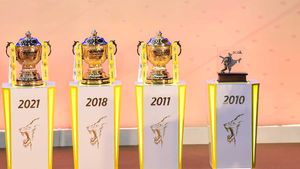 IPL Playoffs: Results of Semifinal, Qualifiers, Eliminators and Finals of Every Indian Premier League Season