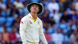 Ricky Ponting picks Australia eleven for WTC final, gives verdict on veteran opener David Warner