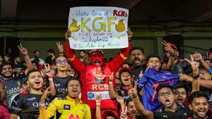 IPL 2023: Fan Parks for May 20 and 21- Cities, Venue, Dates, Ticket Price