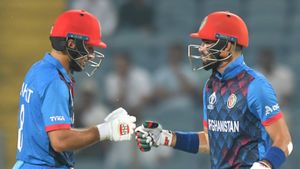ICC World Cup 2023: Which team hit most sixes, Which team conceded most six as of October 30