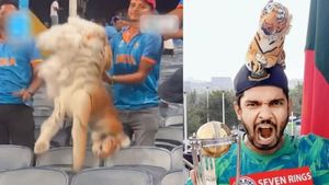 Bangladesh fan who met Rohit Sharma before IND vs BAN match harassed in Pune Stadium, his stuffed tiger tore apart