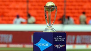 ICC World Cup 2023: Which team hit most sixes, Which team conceded most six as of October 26