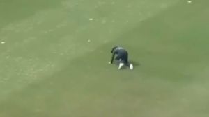 PAK vs SL, World Cup 2023: Meme fest after Kusal Mendis hits 65-ball hundred following Imam-ul-Haq dropped catch