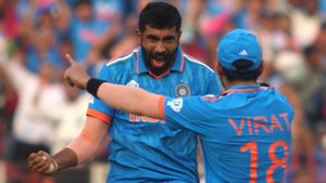 Who is highest wicket-taker in World Cup 2023? Top 10 Leaders In Most Wicket List as on October 29 (Updated)