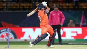 SA vs NED, World Cup 2023: A Nine-Over Massacre from the Dutch - Will that be enough?