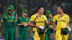 Who Won Yesterday World Cup 2023 Match: South Africa vs Australia Semifinal 2 Result on November 16