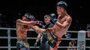 ONE Friday Fights 41 Live Streaming: When And How To Watch ONE Championship Event On November 17?