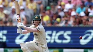 David Warner slammed by former Australia selector for daring to declare his Test successor
