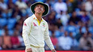 David Warner ripped apart by Mitchell Johnson in scathing attack: 'Why hero's send-off to struggling opener?'