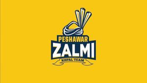 Peshawar Zalmi PSL 2024 Squad: Full List of Players, Draft Picks, Coaching Staff