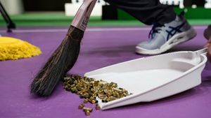 National-level shooter loses left thumb after pistol's gas cylinder explosion at shooting range