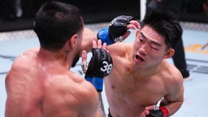 UFC Vegas 83 Results and Recap: Who Were The Winners, Losers & Bonus Earners On Song vs. Gutierrez Card?